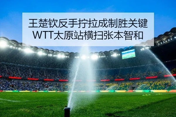 王楚钦反手拧拉成制胜关键 WTT太原站横扫张本智和